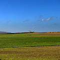 Landscapes-15