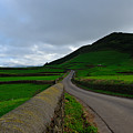 Landscapes-19